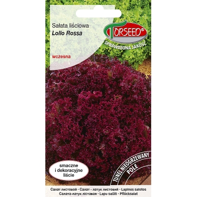 Sałata Lollo Rosa liściowa czerwona nasiona